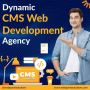 Best Dynamic CMS Website Development Company - Web Panel Sol