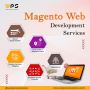 Top Magento Website Development Company – Web Panel Solution