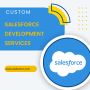 Customized Salesforce Development Services for Your Business