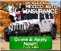 Do you need Auto Insurance in Mexico?