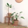 Buy Bamboo Planter from Woody Grass 