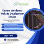 Affordable Custom WordPress Website Development | Anytime An