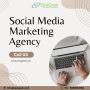 Best Social Media Marketing Agency | Zestgeek Solutions