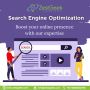 Search Engine Optimization Services | Zestgeek Solutions