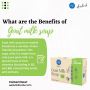 What are the Benefits of Goat Milk Soap