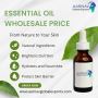 Essential Oil Wholesale Price – Aarnav Global Exports Essential Oil Wholesale Price – Aarnav Global Exports