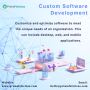 Drive Business Growth through Custom Software Development Se