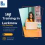Accelerate Your Career: Dive Deep into SAP TRAINING IN luckn