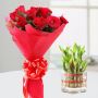 Online Flowers Delivery in Gwalior via OyeGifts, Get Best Of