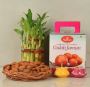 Send Diwali Gift Hampers in India via OyeGifts, Get Best Off Send Diwali Gift Hampers in India via OyeGifts, Get Best Off