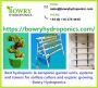 Buy Hydroponic Garden System & Kit