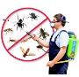 Top-Notch Pest Control in Alpharetta: Your Solution for a Pe