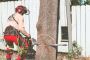 Tree Removal
