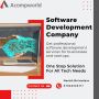 Professional Software Development Services