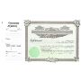 Goes 1 Corporate Stock Certificate | Acorn Sales