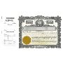 Goes 265 Texas Stock Certificate - Acorn Sales