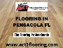 Commercial-Grade Vinyl Flooring Pensacola by Act1 Flooring 