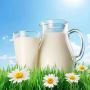Nourish Naturally: Pure Gir Cow Milk - Order Yours Today