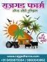 Best Agro Tourism Resort near Pune | Rajgad Farms