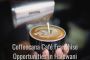 Coffeecana Café Franchise Opportunities in Haldwani - coffee