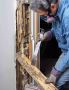 Termite Removal Cost in Adelaide