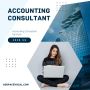 Business Accounting Consultant 