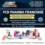 PCD Pharma Franchise in Ambala