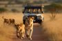Adventure Awaits: Explore Kenya with Safari Holiday Packages