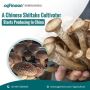 Buy china shiitake log From Agrinoon