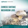 Unlocking the Mysteries of Chinese Shiitake Cultivation: Cla