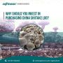 Premium Shiitake Mushroom Spawn for Sale: Boost Your Harvest