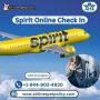 How To Check In Online Spirit Airlines?