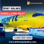 What Is The Spirit Airlines Cancellation Policy?