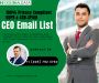 Buy 100% Privacy Compliant CEO Email List IN US