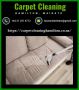 Most famous couch cleaning professional in Hamilton, NZ