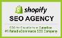 Boost Your Store's Traffic with Shopify SEO Services