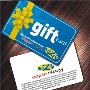 Top Manufacturer Of Plastic Gift Card