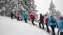 Best Ski and Snowboard Holiday in Europe | Alpenature