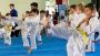 Top Information on the Benefits, Types, and Costs of Karate 