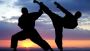 Explore the Rich History of Martial Arts