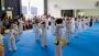 Learn About The Importance of Basics in Karate With AMAF AU