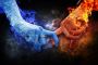 100 Percent Free Outreach Program for Married Couples in nee