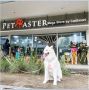 Premium Pet Supplies in Singapore - Pet Master