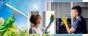 Interior Window Cleaning Services | Professional Cleaners 