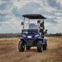 Find the best Golf Carts in Aubrey, TX - Oasis Carts
