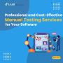Professional & Cost-Effective Manual Testing Services for SF