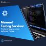 Manual Testing Services: The Best Way to Avoid Software Fail