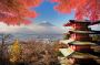 Discover Japan's Rich Culture: Thrillophilia's Unforgettable