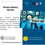 Empower Your Startup Journey with Gulf Analytica's Expertise