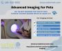 SafariVet Advance Imaging Service in League City Tx
